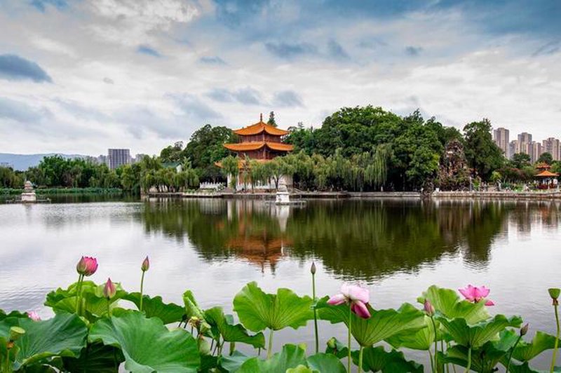 昆明旅游：春城盛景待你探寻