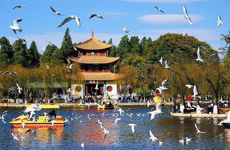 昆明旅游选购指南:从初来乍到到尽享风情