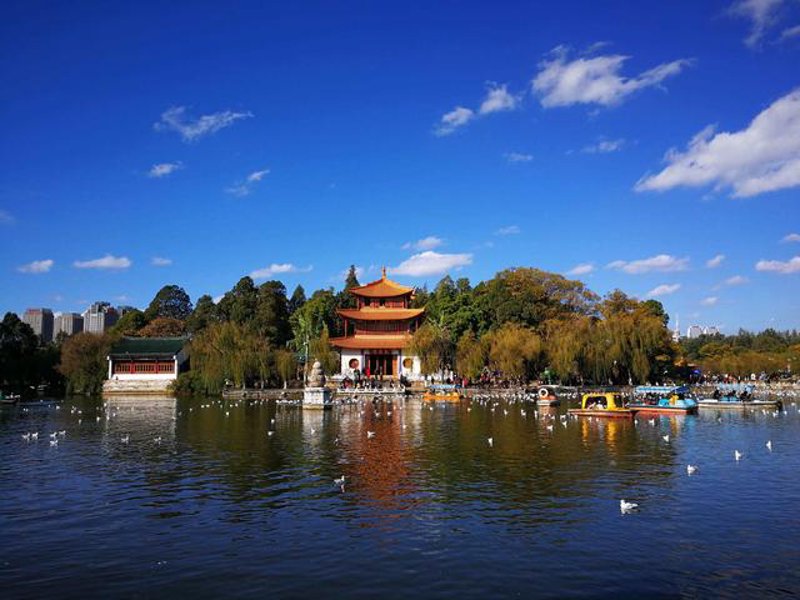 云南旅游：春城赏花之旅